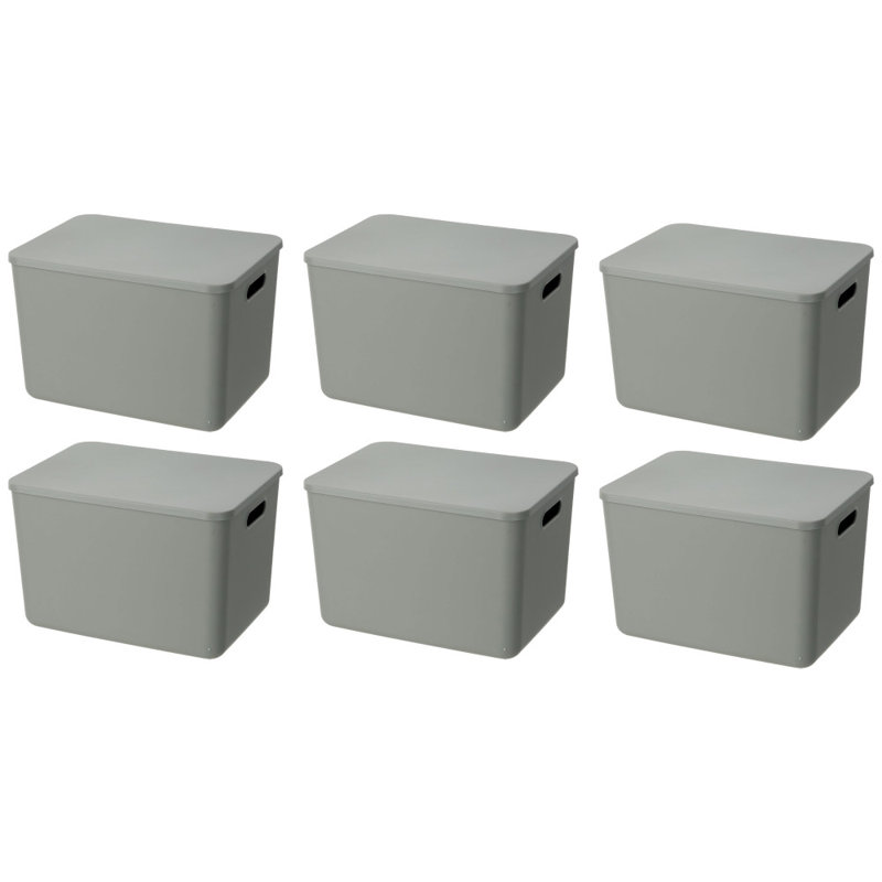 Latitude Run® Plastic Decorative Bins, 6, 7.25" H x 10.25" W x 14.25" D