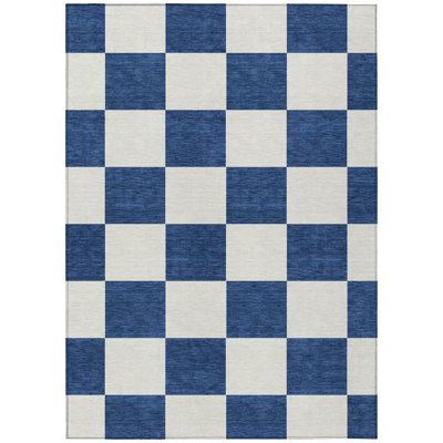 Machine Washable Indoor/Outdoor Buster ACN2345 Geometric Rug