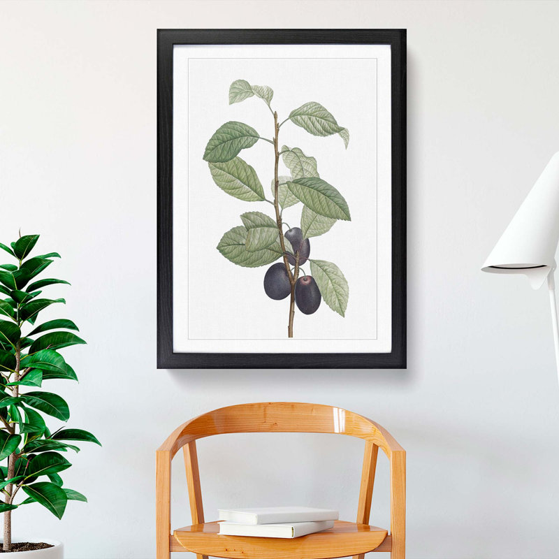 Prune Tree by Pierre-Joseph Redoute - Picture Frame Painting Print, 36cm H x 27cm W x 2cm D, Black Framed