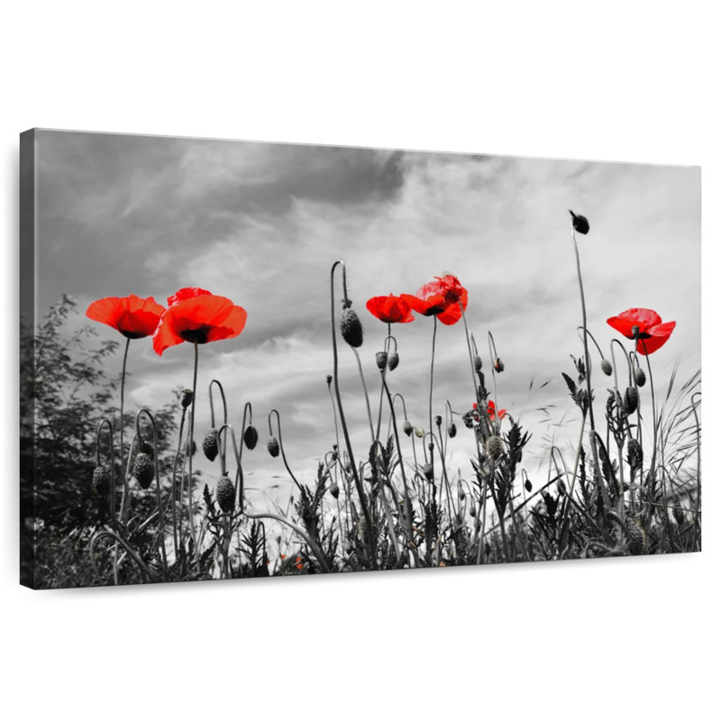 Harnek Red Pop Poppies, 34" H x 51" W