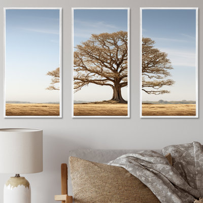 Brown Oaks Outline - Tree Oak Canvas Wall Art Set