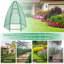 Anstus 5.3 Ft W x 5.3 Ft D Greenhouse