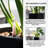 Self-Watering Pot Planter