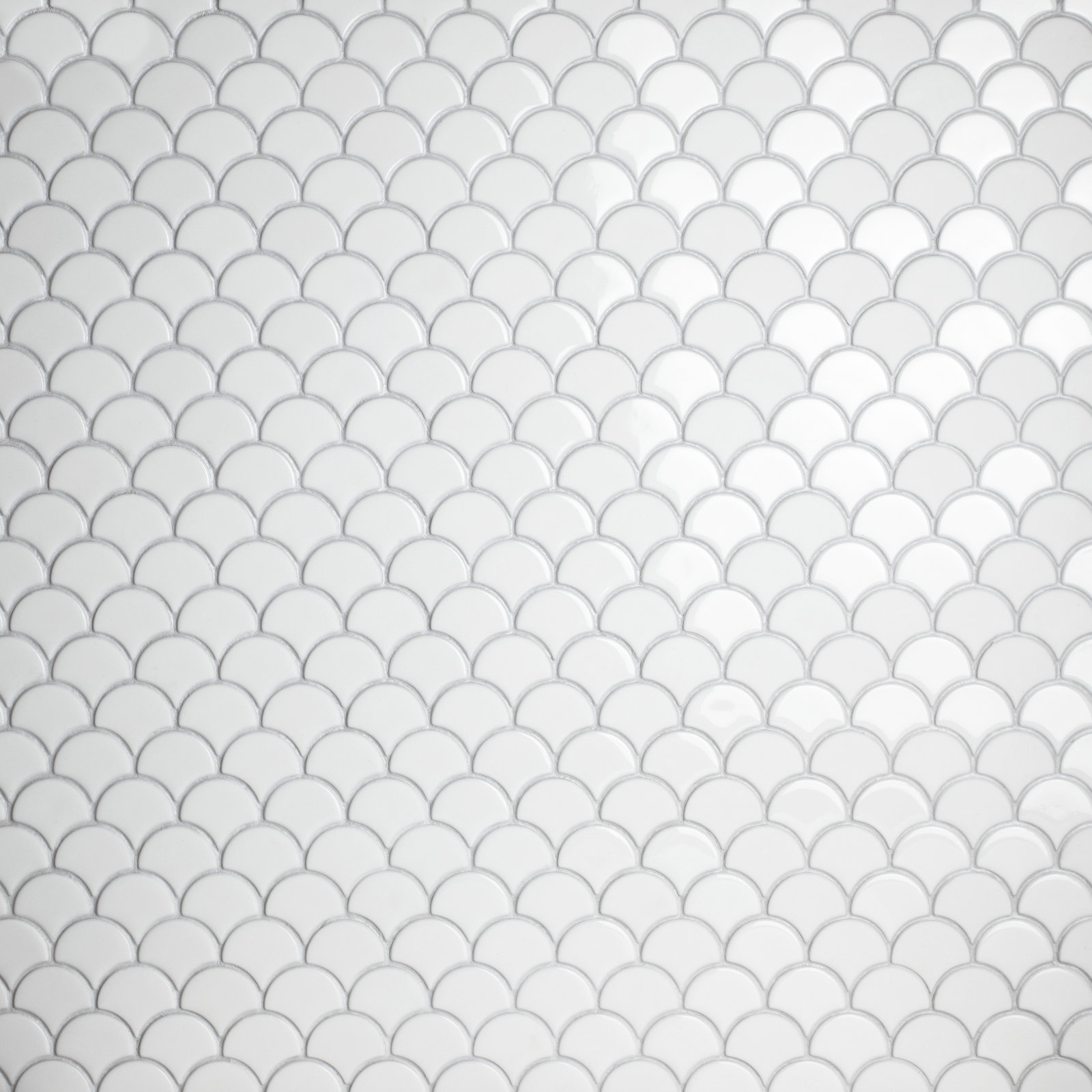 Expressions Scallop White 11-1/4" x 12" Glass Mosaic Floor and Wall Tile