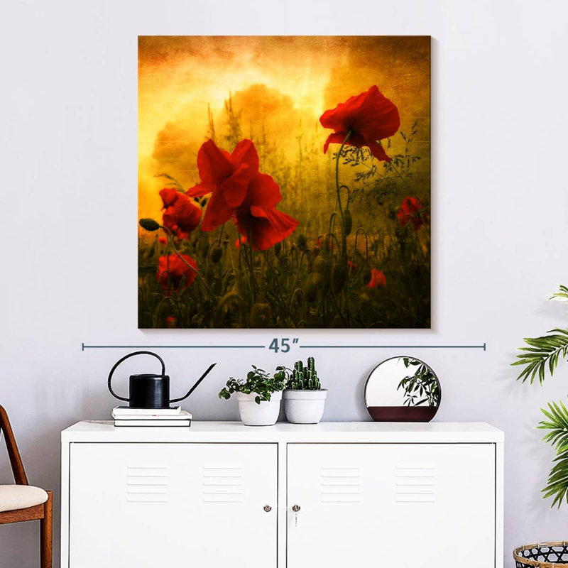 Coquelicots rouges Harnek au coucher du soleil