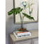 Split Philodendron Leaves In Glass Vase