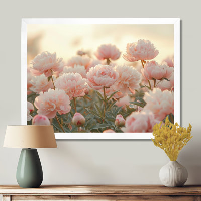 Brandov photo de pivoines ferme au coucher du soleil III - pivoines, art mural