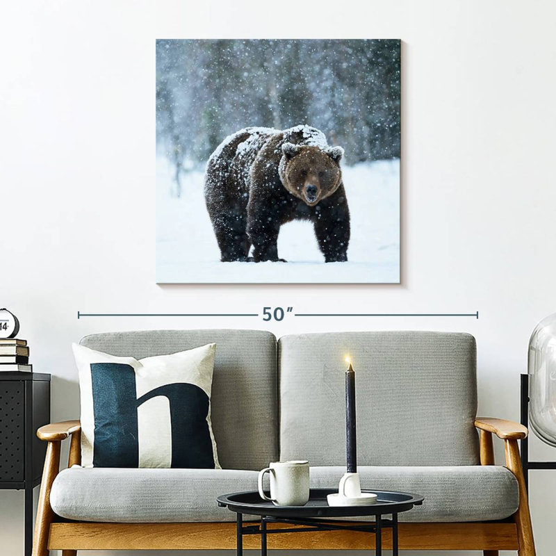 Brampt Winter Brown Bear