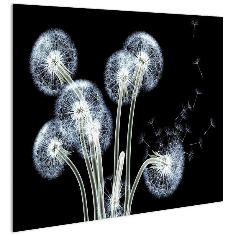 " Dancing Dandelions "