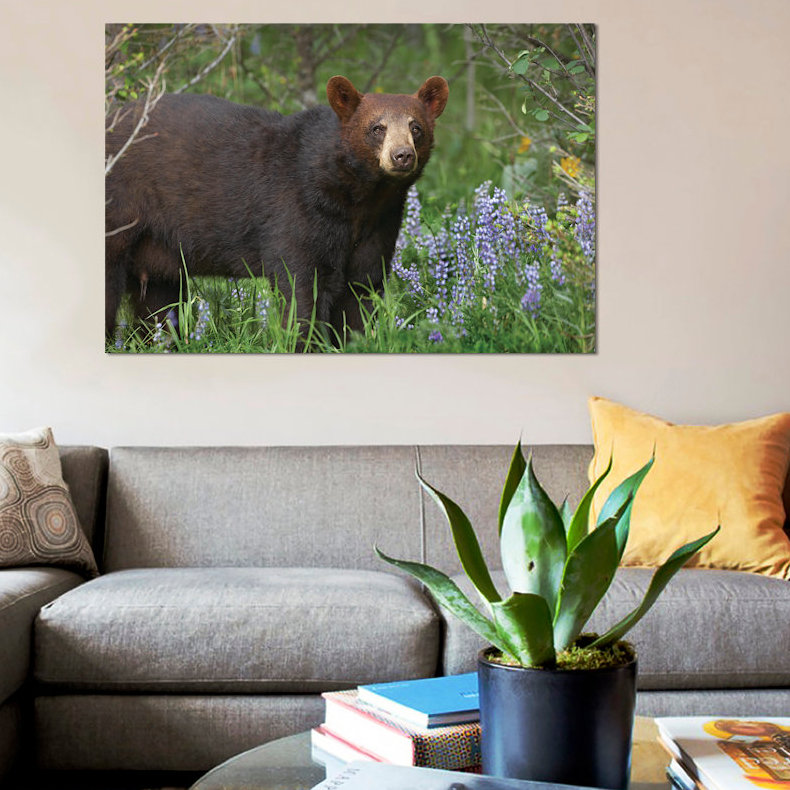 «Black Bear Portrait, North America II» par Tim Fitzharris - reproduction de photo sur toile, H 26 po x l 40 po x P 1,5 po