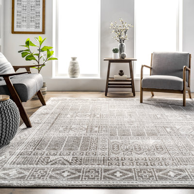 Akimitsu Southwestern Gray Area Rug