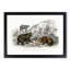 Polar, Grizzly and Bears by Oliver Goldsmith - Picture Frame Painting Print-55601817-55601819
