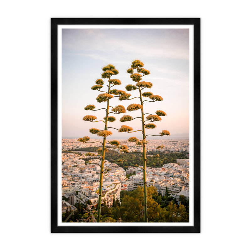 Agave Trees On Hills Of Athens II Print by Tim Klein