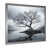 Silver Single Picture Framed