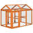 Chicken Run-113507493