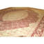 Wool Oriental Area Rug