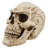 Sinister Simon Giant Skull Statue