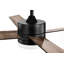 Avamaria 52'' Ceiling Fan with LED Lights-1002625161