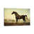 Wrapped Canvas