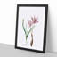 Pink Autumn Crocus Flowers by Pierre-Joseph Redoute - Picture Frame Painting Print-55583466-55583469