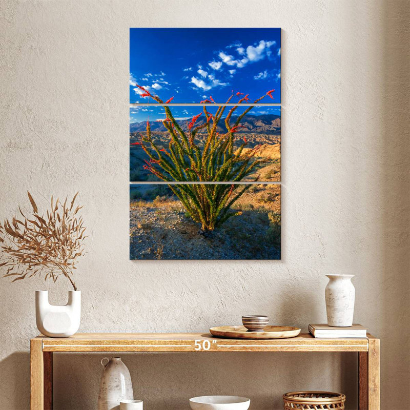 Harnek Ocotillo In Anza Borrego, 38" H x 24" W