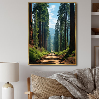 " USA Sequoia And Kings Canyon Forest "
