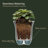 Nadija Planter-14002347-43586259