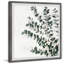House Plant - Single Picture Frame Painting-2065404459