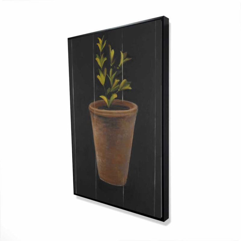Plante de Marjolaine - Hygge