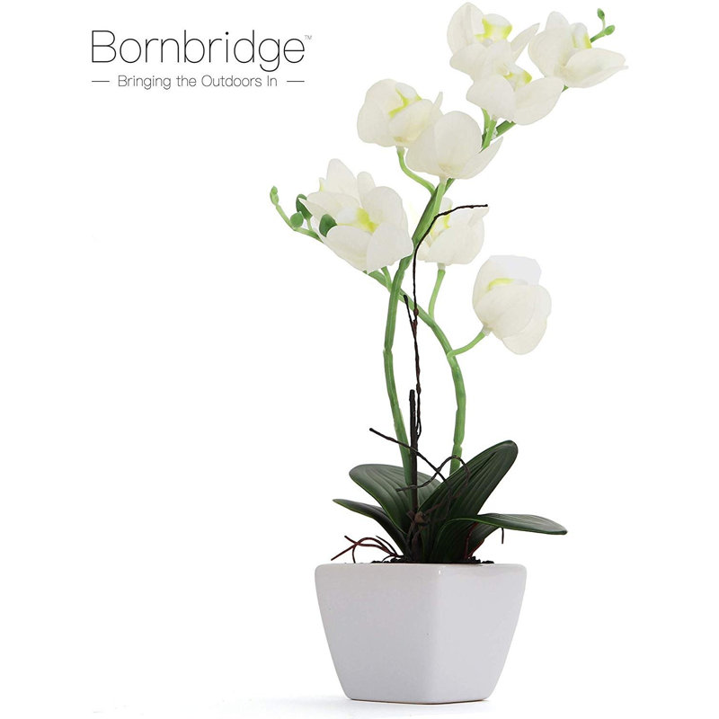 Orchidée artificielle dans un vase, Blanc