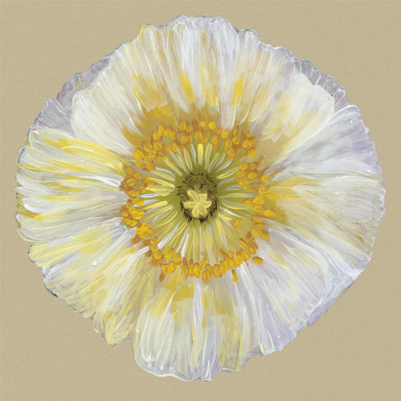 Poppy Blossom II by Alicia Ludwig - Wrapped Canvas Art Prints, 30cm H x 30cm W x 3.8cm D