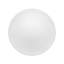 TAC Porcelain Dinner Plate-721102184