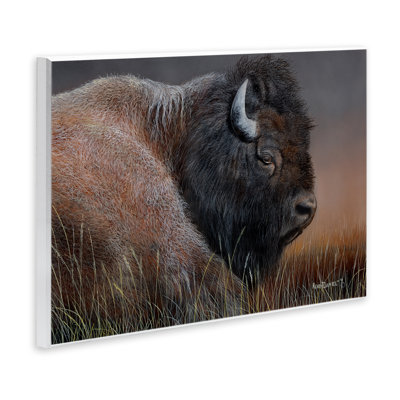 Detailed Bison Close Up Wall Plaque Art by Kevin Daniel