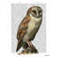Art sur toile tendue Millwood Pines Fab Funky Gallery: Barn Owl