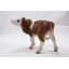 Statue vache debout