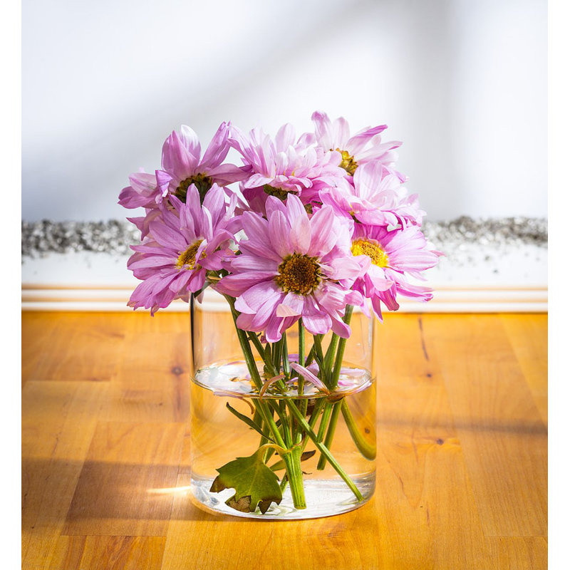 Vase de table en verre transparent 4 po Guila