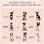Niche pour chien d'extérieur avec auvent imperméable, coussin confortable pour petits chiens de taille moyenne,