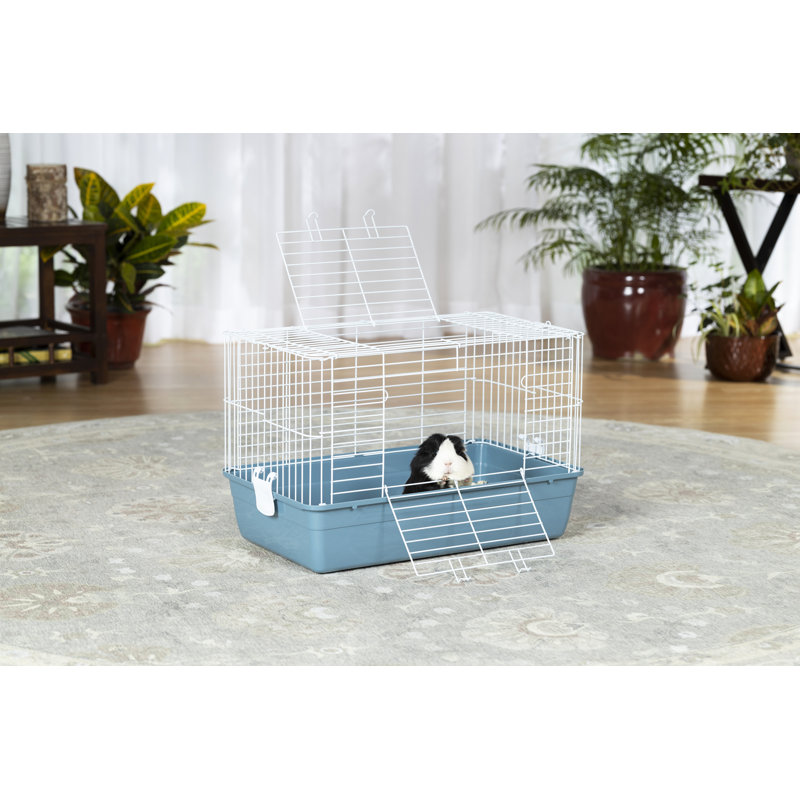 Cage pour petits animaux Niehaus, H 15,5 po x l 13,75 po x L 23,75 po, Bleu glacier