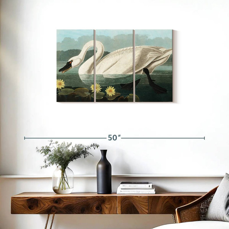 Brampt Common American Swan, 20" H x 33" W
