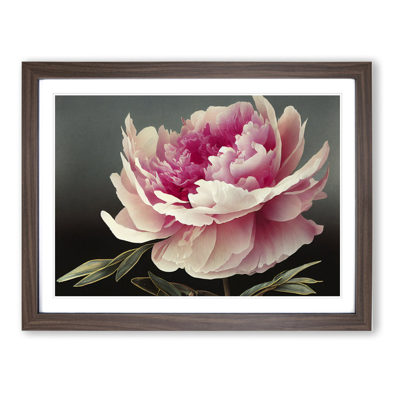 Uplifting Peony Flower - Framed Print, 25cm H x 34cm W x 2cm D, Walnut