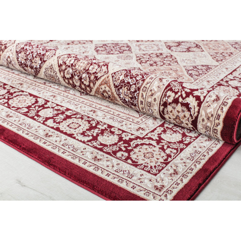 Arliz Oriental Indoor Rug, Rectangle 2' x 4'