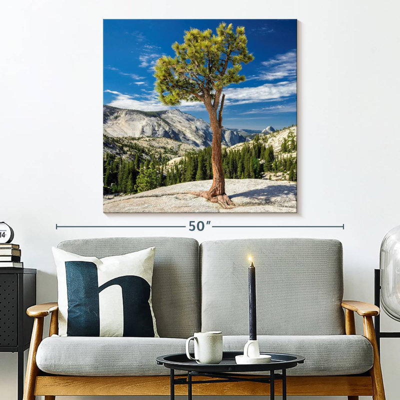 Arbre Harnek Yosemite Park, H 33 po x l 33 po