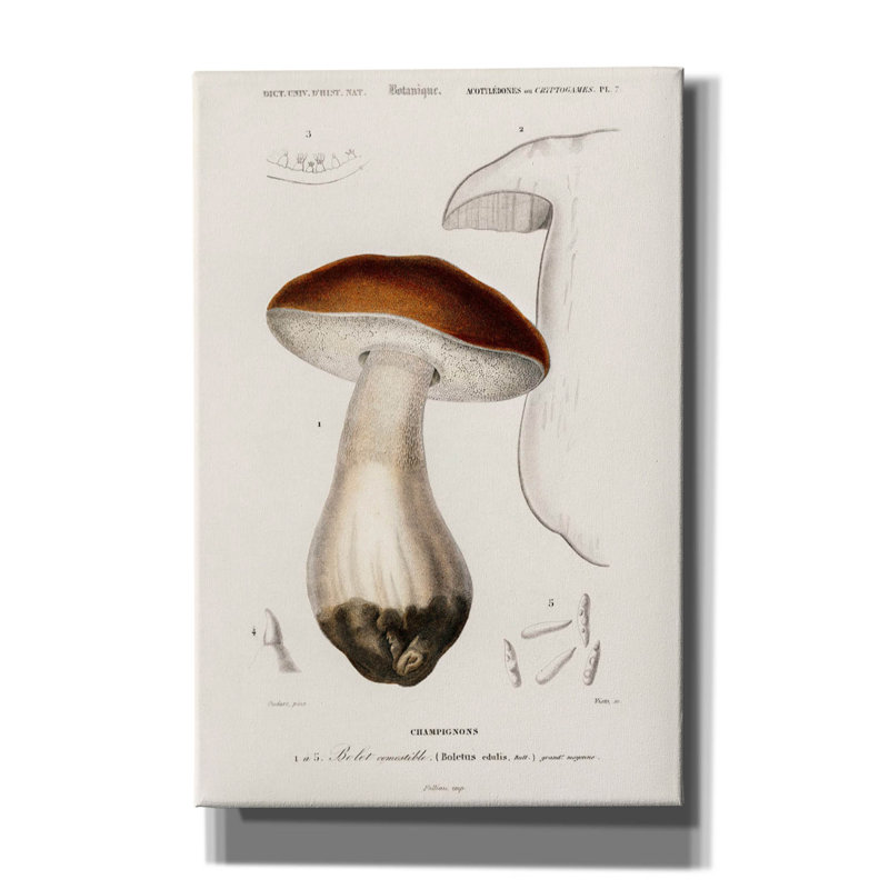 «Champignon» par Art Licensing Studio, art mural sur toile, H 18 po x l 12 po x P 0,75 po