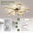 Jacionna 41.3'' Ceiling Fan with 10 LED Lights