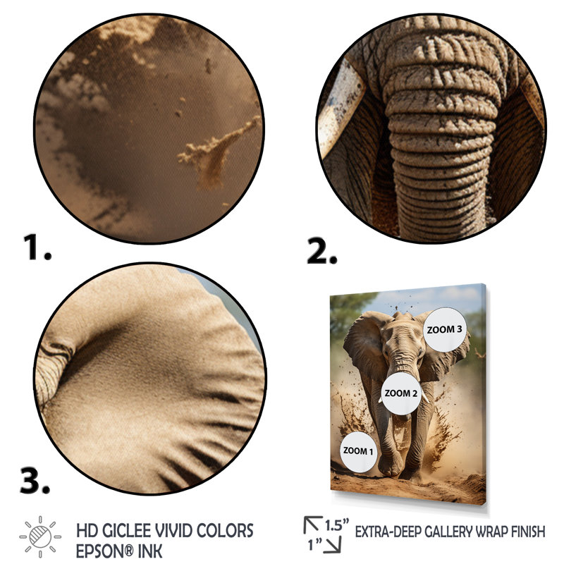 Kyley, photographie d'éléphants d'Afrique II, Cadre photo blanc, H 20 po x l 12 po x P 1 po