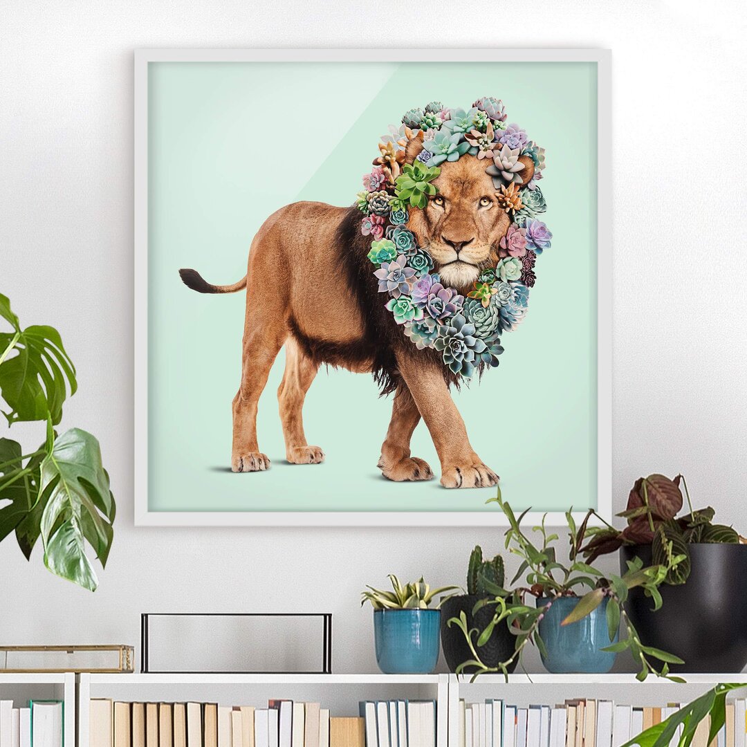 Gerahmter Grafikdruck Lion with Succulents von Jonas Loose