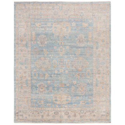 Rectangle Oriental Hand-Knotted Wool Area Rug in Blue/Brown