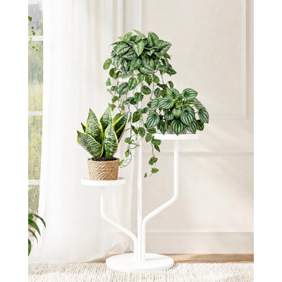 Support à plantes en métal blanc à 3 niveaux pour l'intérieur et l'extérieur, pour plusieurs plantes