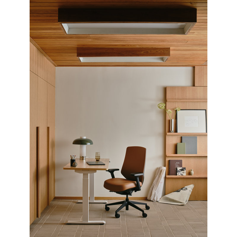 Ergonomic Chair Pro, Canyon, Black