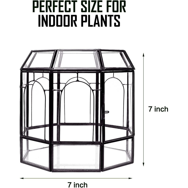 Grand terrarium en verre fait à la main